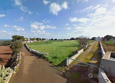 Terreno a 4 km da Polignano a Mare