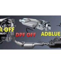 Servizio file online ECU