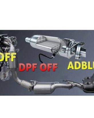 Servizio file online ECU