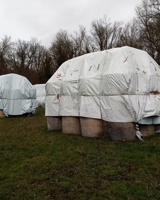 fieno in balloni 120 x120