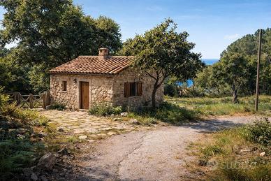 Terreno immerso nel verde con progetto approvato