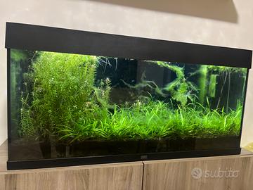 Acquario JEWEL