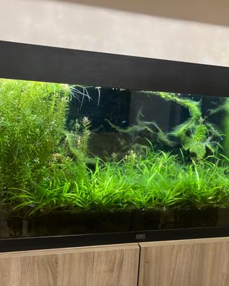 Acquario JEWEL