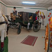 Carrozza con cavallo di resina