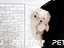 Immagine 13