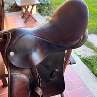 Sella shires equestrian