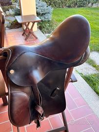 Sella shires equestrian