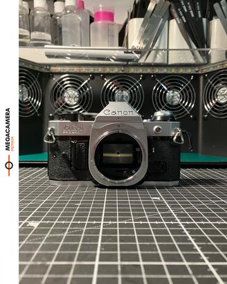 Canon AE-1 Program - Perfetta!