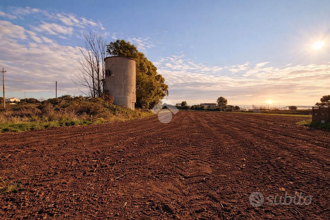 RUSTICO A MONTALTO DI CASTRO - Altro