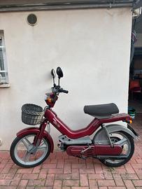 Atala green completo e in perfette condizioni