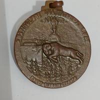 Medaglia.- gruppo  Guastatori- Italiana