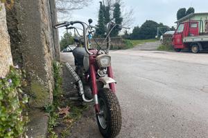 Benelli minibike 1970