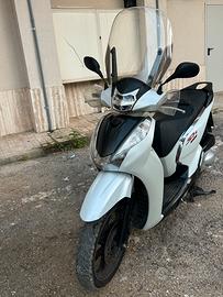 Sh 300 sport