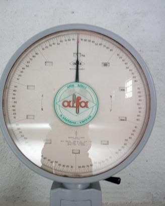 Bilico Alfa portata Kg 3000
