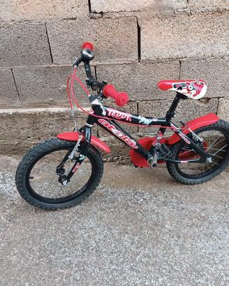 bicicleta