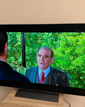 LG Oled evo ai 55 c5 2025