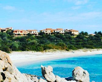 Appartamenti a Spiaggia Bianca - Golfo Aranci