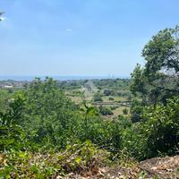 TER. AGRICOLO A GIARRE