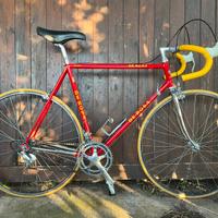 De rosa professional