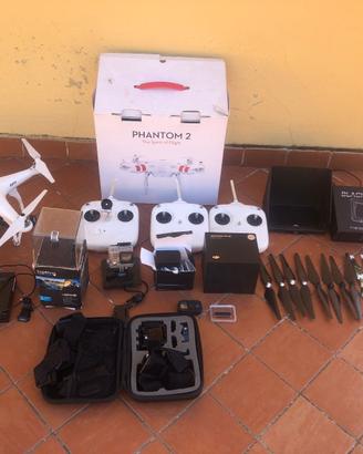 DJI Phantom 2, Schermo, GoPro, Gimbal e accessori