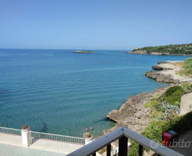 Marina di Camerota appartamento panoramicissimo mi