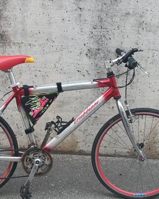 bicicletta