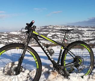 Cannondale carbon team