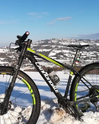 Cannondale carbon team