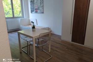 Monolocale Ristrutturato