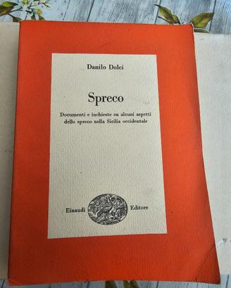 Spreco di Danilo Dolci 1960