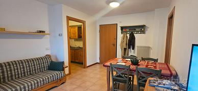 Aprica Corteno Golgi Bilocale 4 posti letto