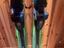 Immagine 4