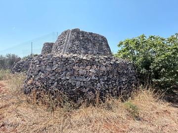 Terreno agricolo con trullo
