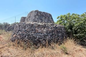 Terreno agricolo con trullo