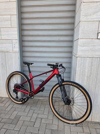 MTB BMC Twostroke 01