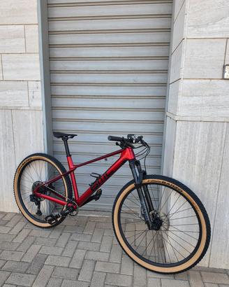 MTB BMC Twostroke 01