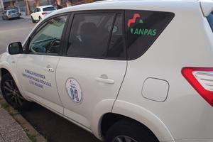 TOYOTA RAV4 3ª serie - 2013