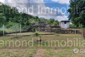 Terreno 1.000 mq piccolo fabbricato a presa
