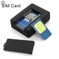 MICROSPIA GSM AMBIENTALE spia