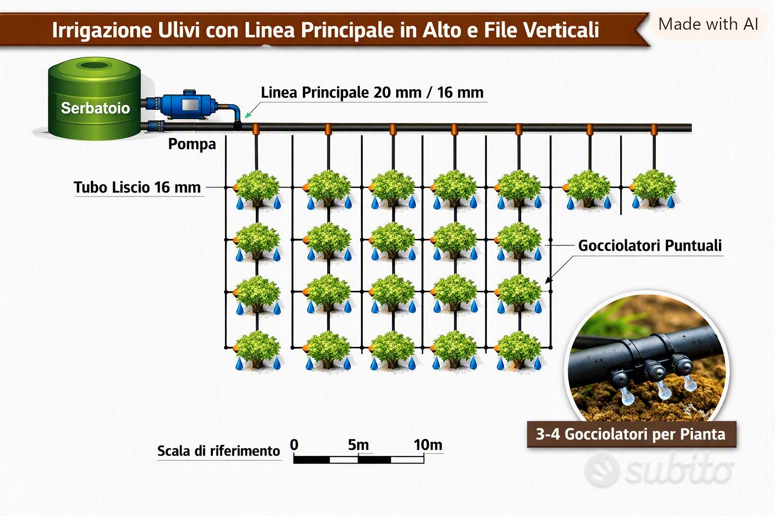 Uliveto ad Acri -40 piante -terreno piano-2000mq - Altro