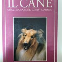 IL CANE, cura,educazione, addestamento