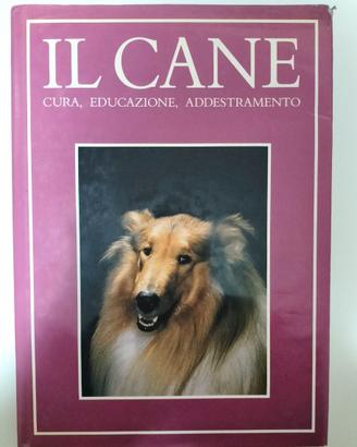 IL CANE, cura,educazione, addestamento