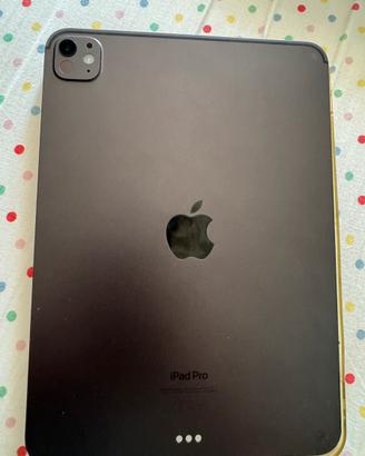 Ipad pro M4 256 GB