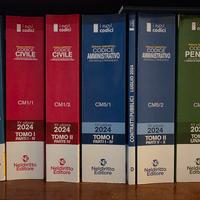 codici Nel diritto e codice di aggiornamento 2025
