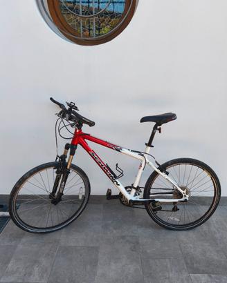 Mountain-bike con ruote da strada