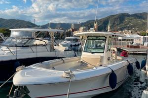 Boston Whaler 330 Outrage 2019