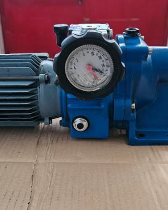 motore elettrico trifase 0.30 cv con riduttore