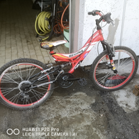 Mtb 24