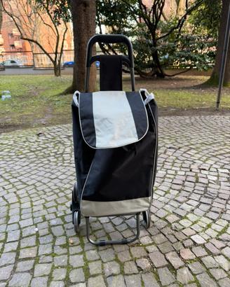 Carrello spesa
