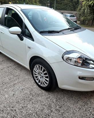 Punto Evo Dynamic 1300 multijet 85 cv